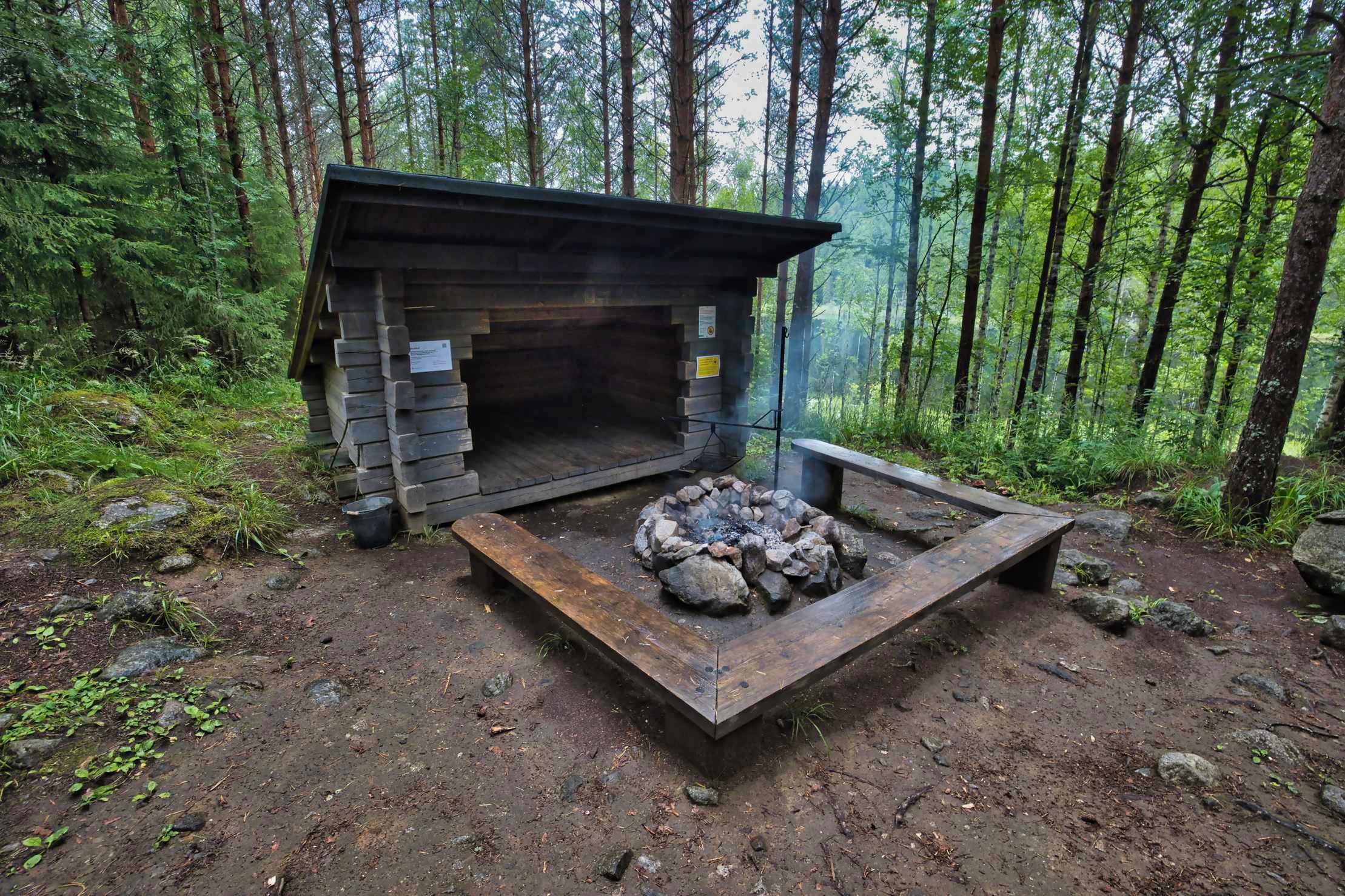 Heinäkuun rehevä Evo - Kotona ikimetsässä -retkiblogi